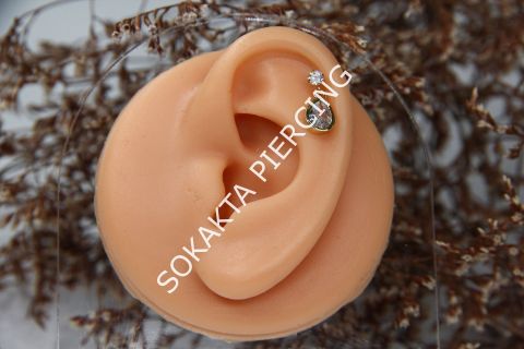 C5 - SALLANTILI TRAGUS - HELIX Gold