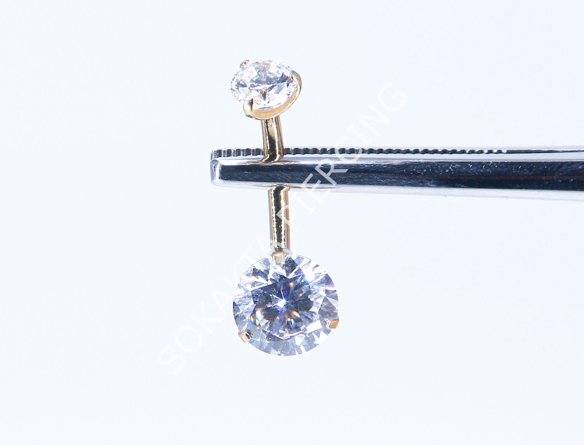 F300  - TITANIUM GÖBEK