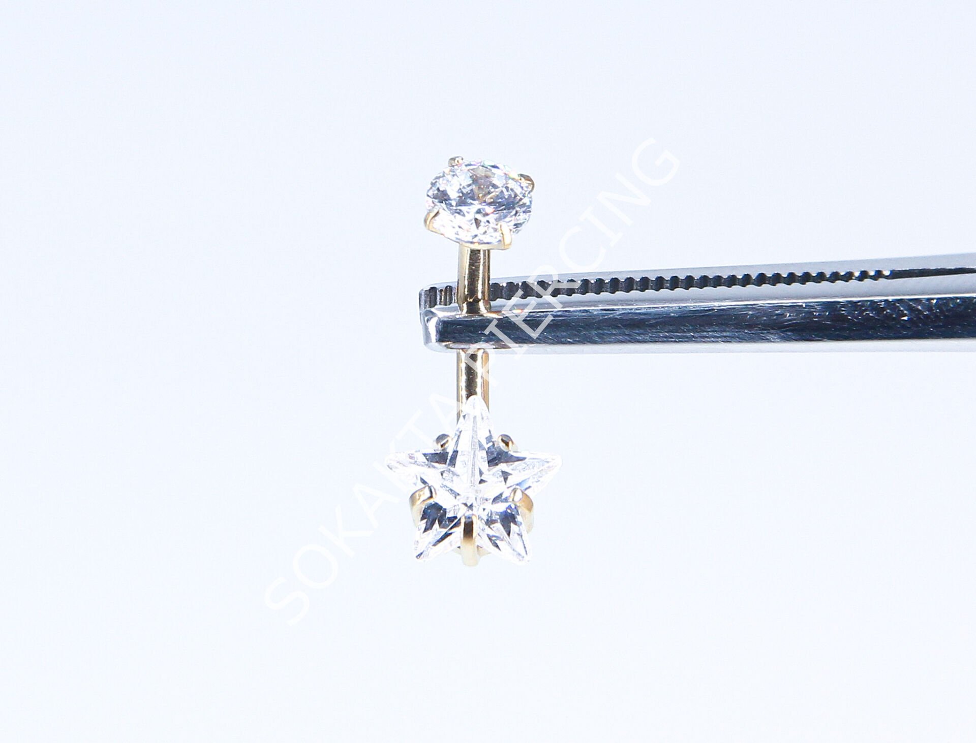 F298  - TITANIUM GÖBEK