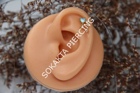 X6 - SALLANTILI TRAGUS - HELIX Gold
