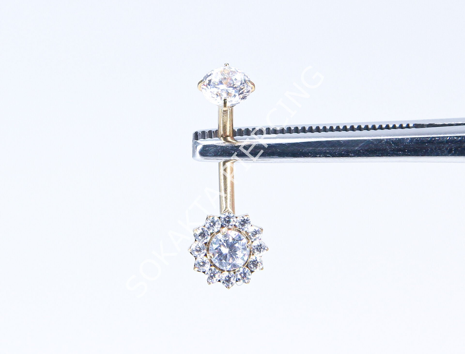 F294  - TITANIUM GÖBEK