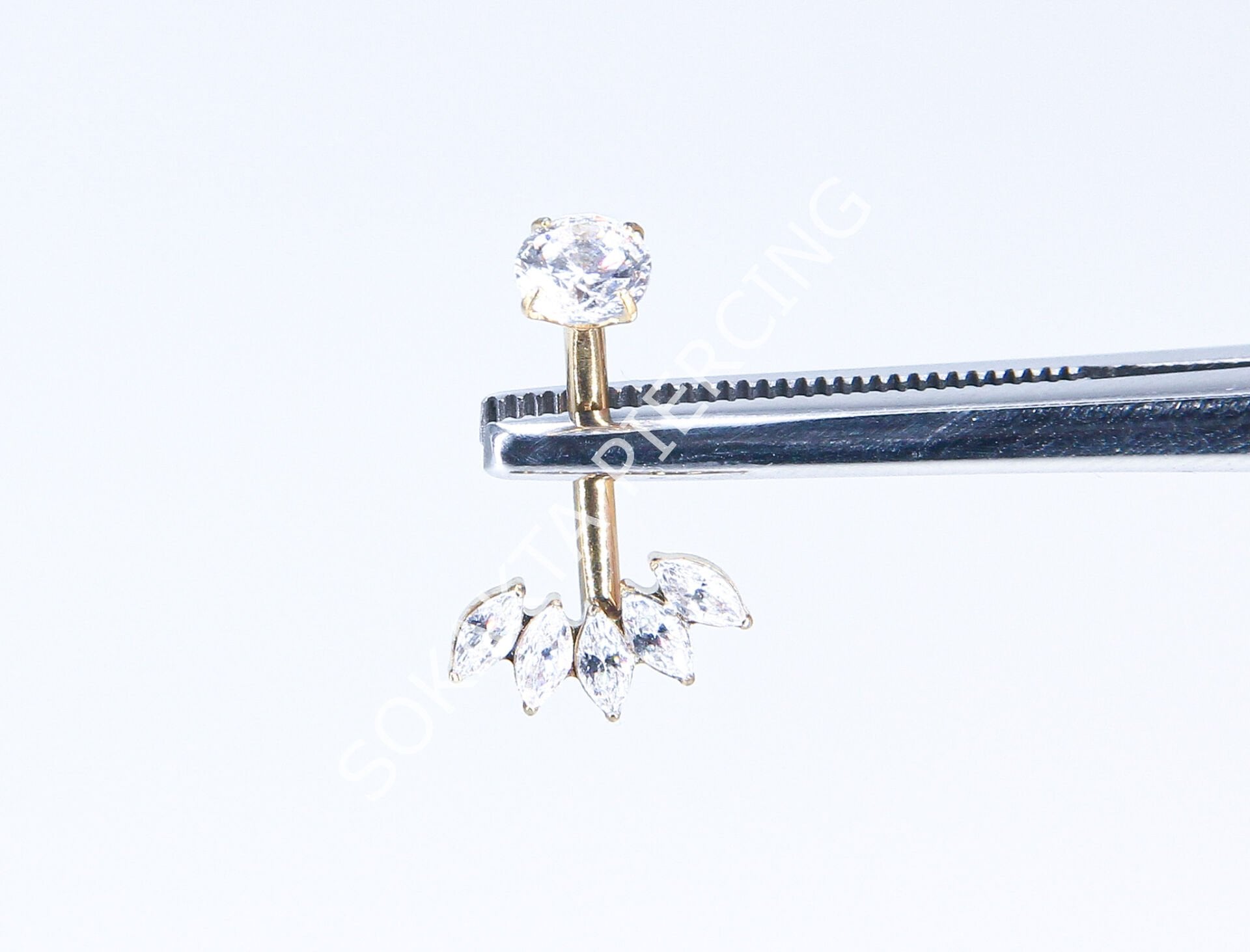 F253  - TITANIUM GÖBEK