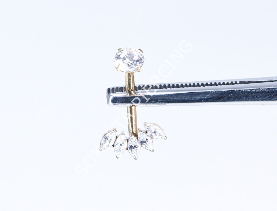 F253  - TITANIUM GÖBEK