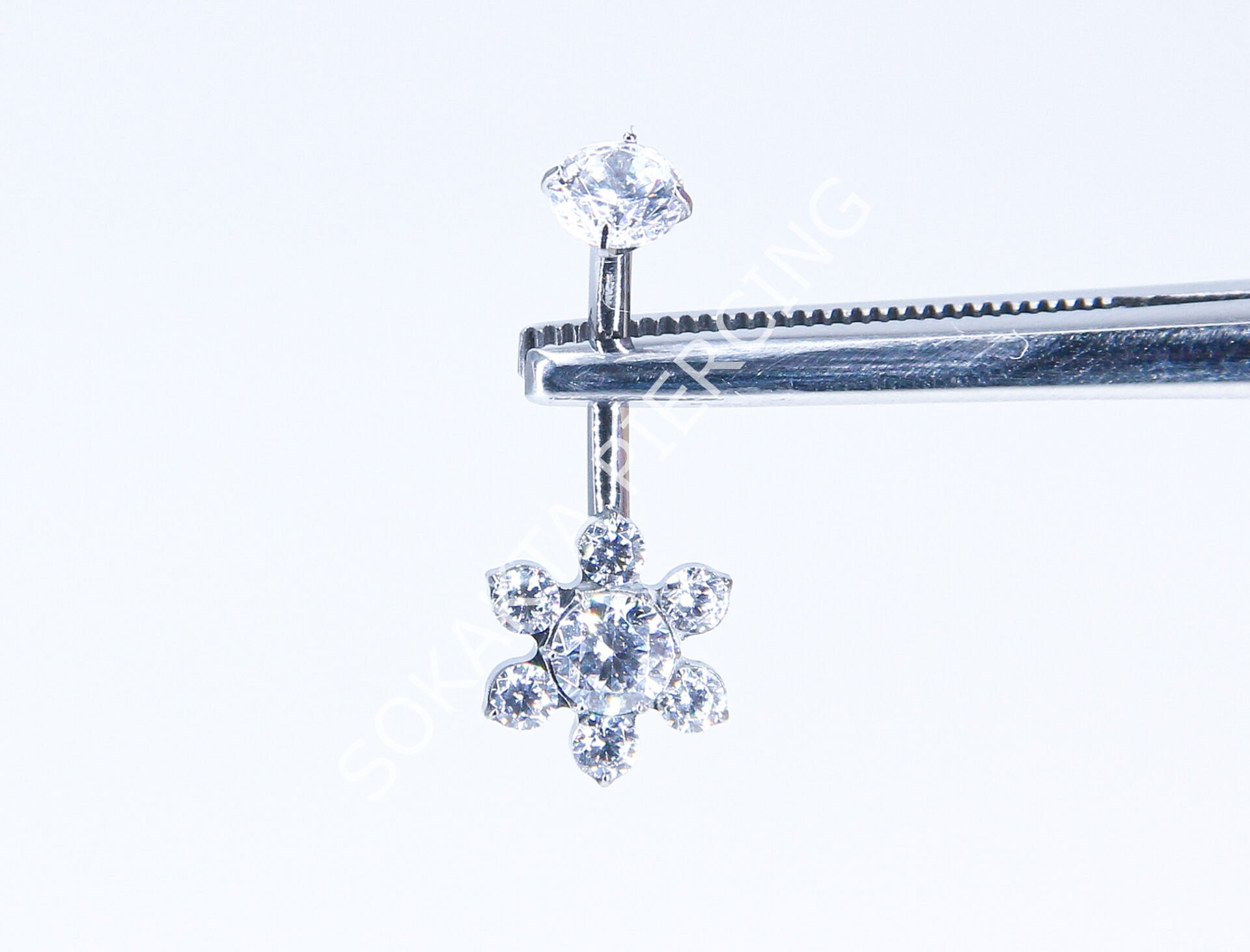 F295  - TITANIUM GÖBEK