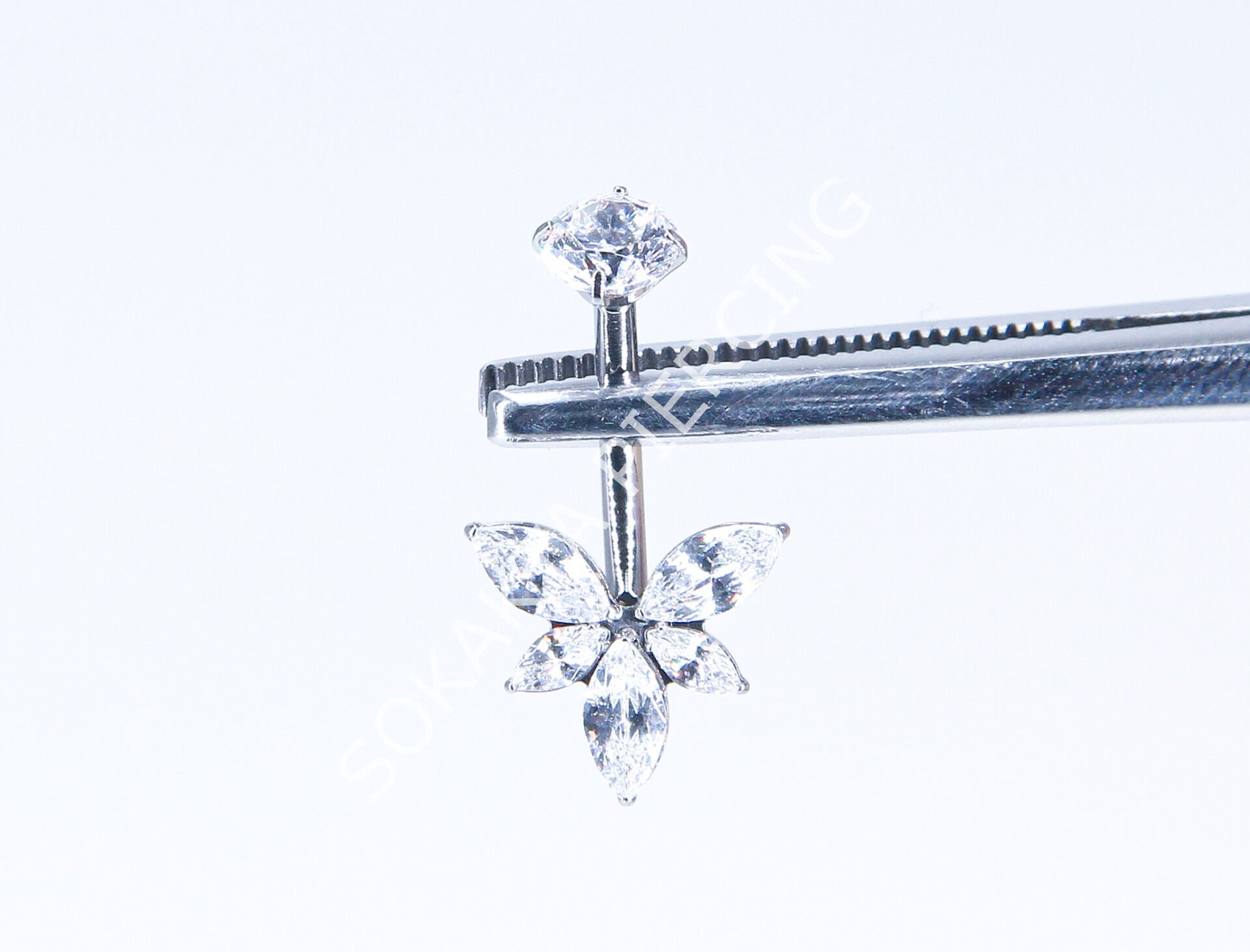 F303  - TITANIUM GÖBEK