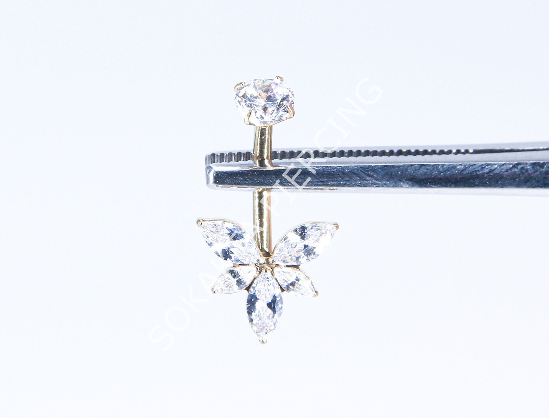 F302  - TITANIUM GÖBEK