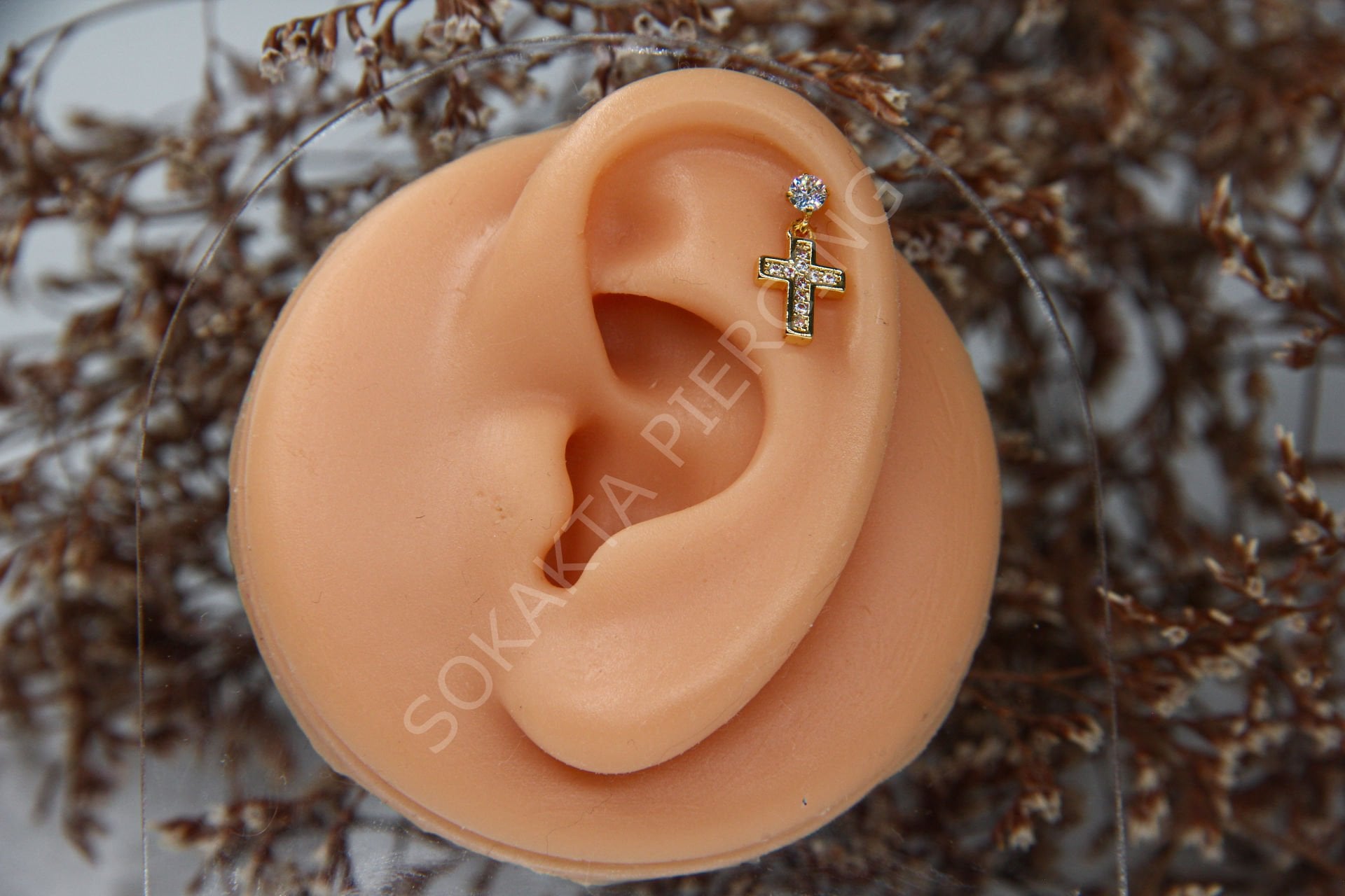 C6 - SALLANTILI TRAGUS - HELIX Silver