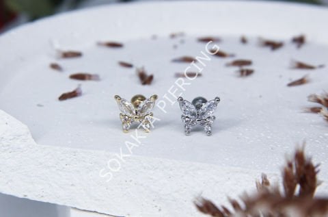 B45 - TRAGUS