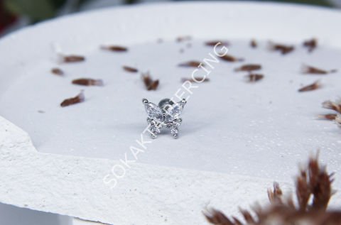 B45 - TRAGUS