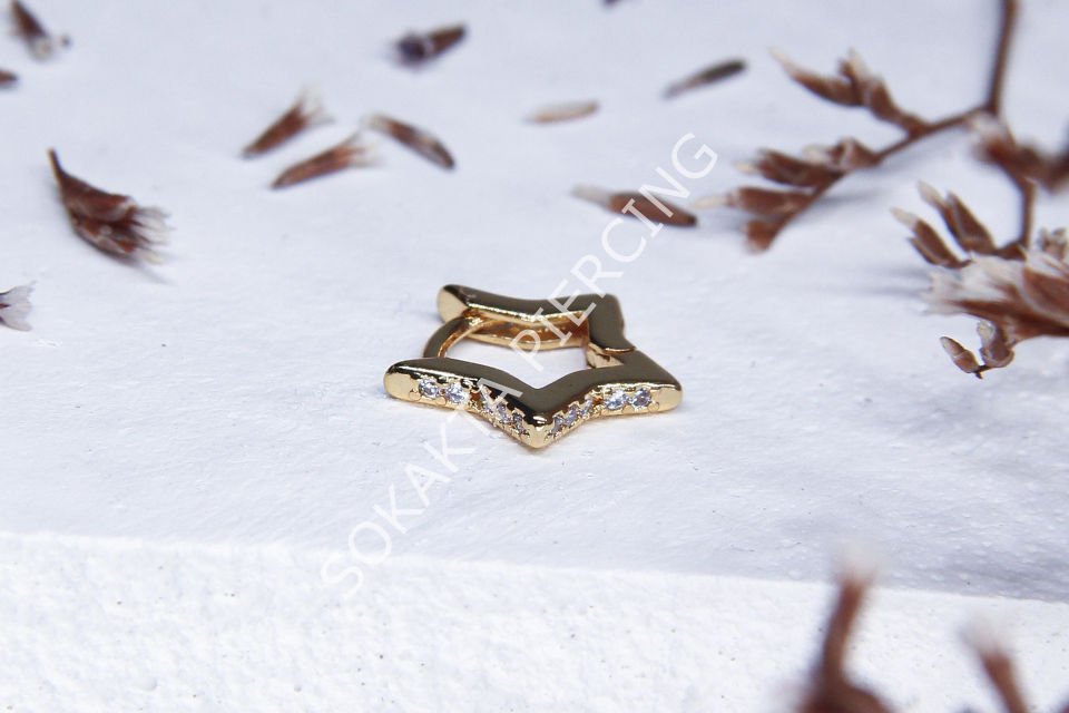 ZE310 - YILDIZ HALKA