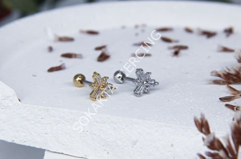 B48 - TRAGUS