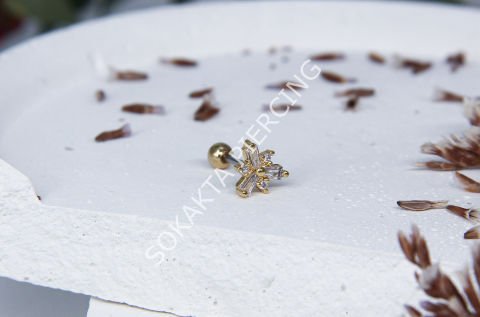 A30 - TRAGUS Silver