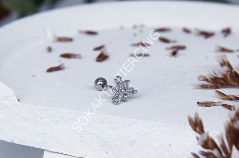 A30 - TRAGUS Silver