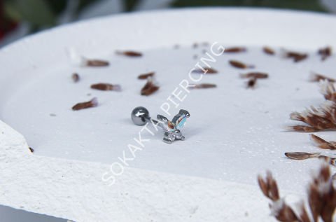 B101 - TRAGUS