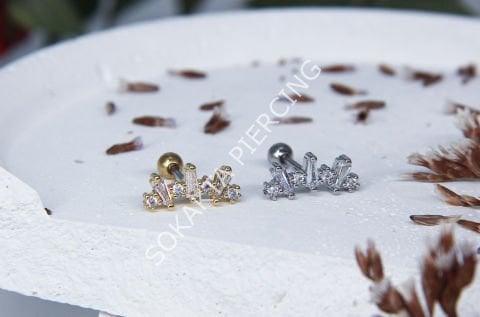 B89 - TRAGUS
