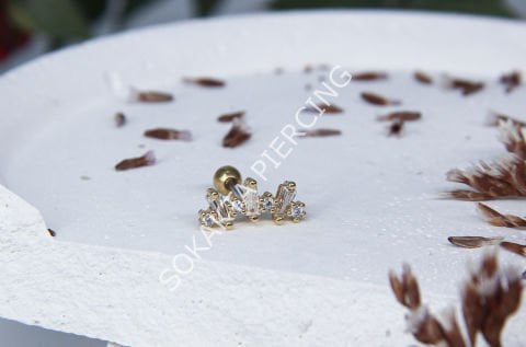 B89 - TRAGUS
