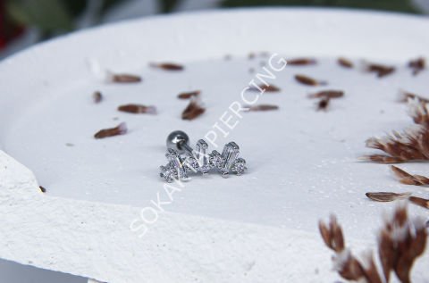 J89 - TRAGUS
