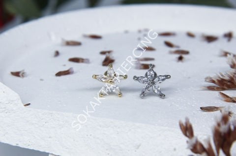C29 - TRAGUS Silver