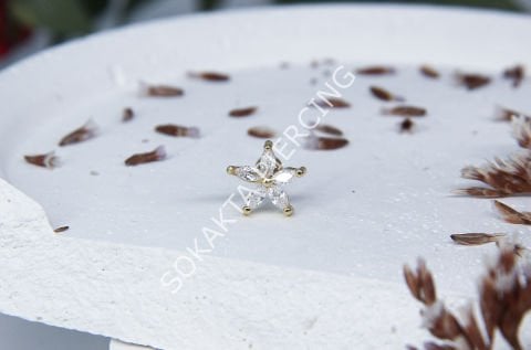 C29 - TRAGUS Silver