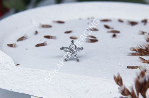 C29 - TRAGUS Silver