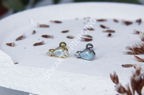 Tragus 33