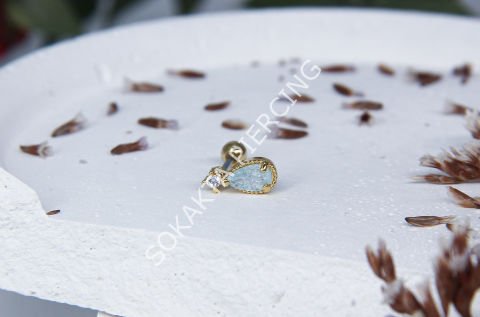 Tragus 33