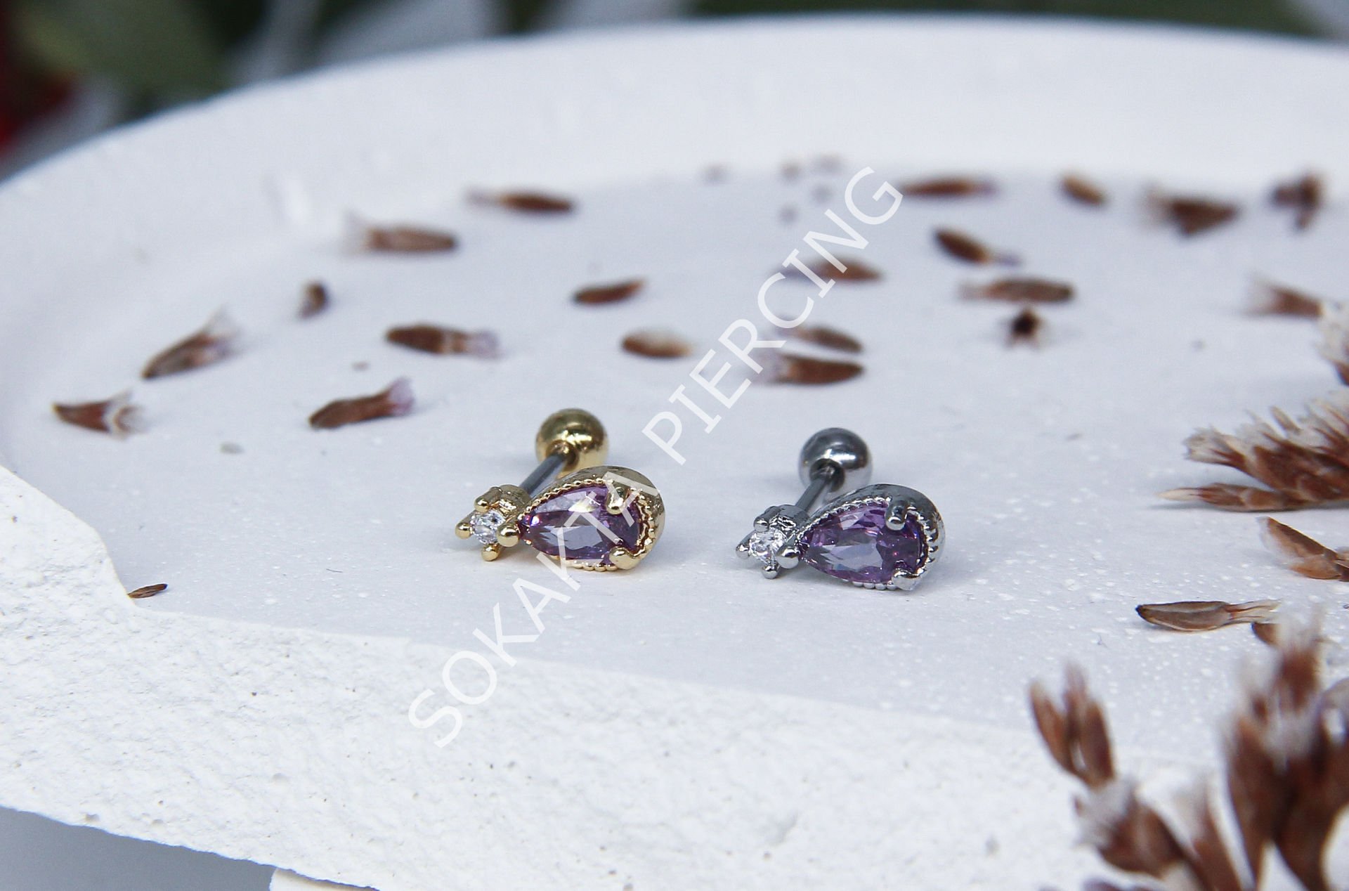 Tragus 34