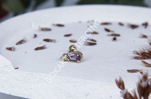 Tragus 34