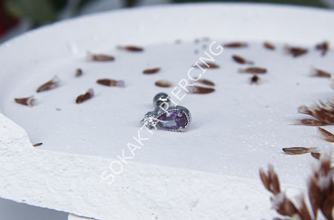 Tragus 34