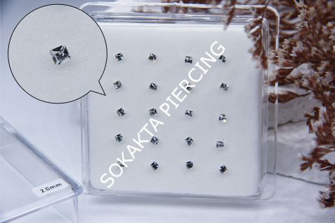 HZ331 - GÜMÜŞ HIZMA