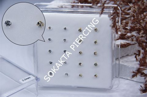 HZ310 - GÜMÜŞ HIZMA