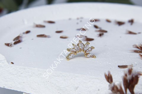 B97 - TRAGUS Gold