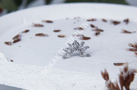 B97 - TRAGUS Gold