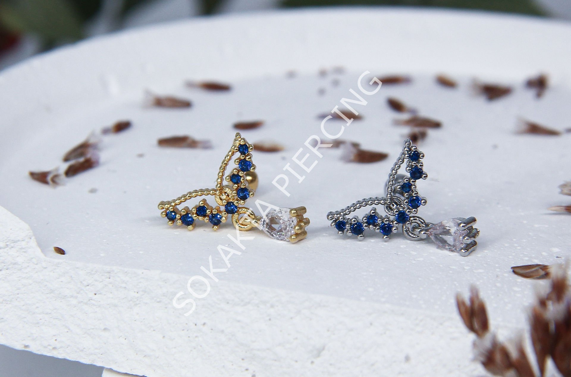 B1 - TRAGUS