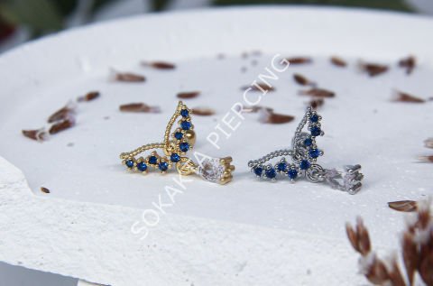B1 - TRAGUS