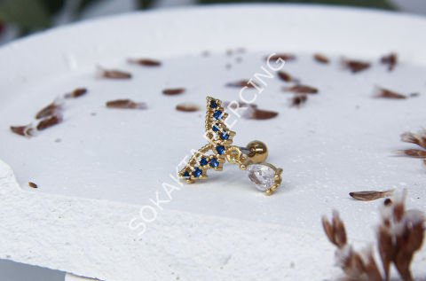 B1 - TRAGUS