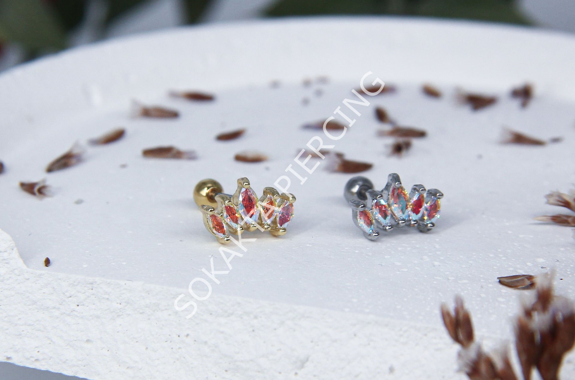 B30 - TRAGUS Silver