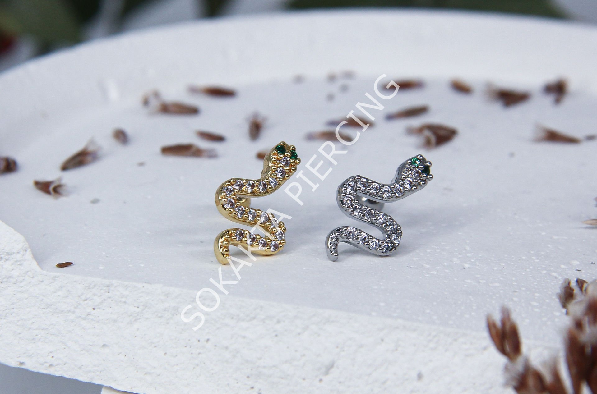 Tragus 46