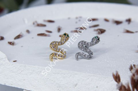Tragus 46