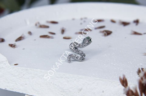 Tragus 46