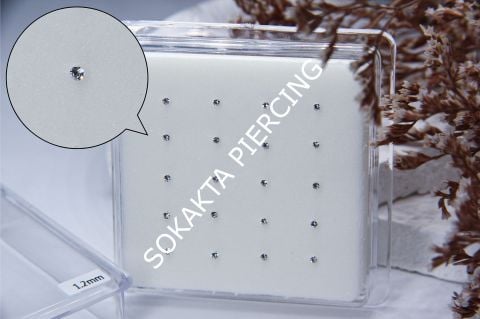 HZ314 - GÜMÜŞ HIZMA