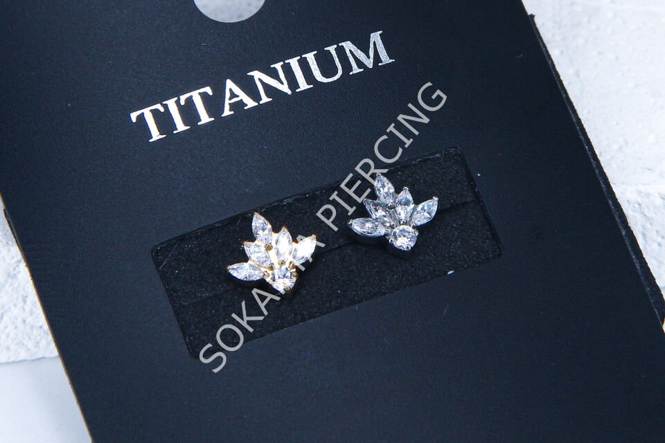 M77 - TITANIUM Silver