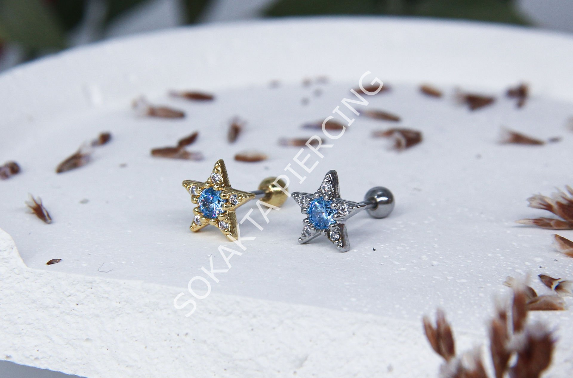 B88 - TRAGUS