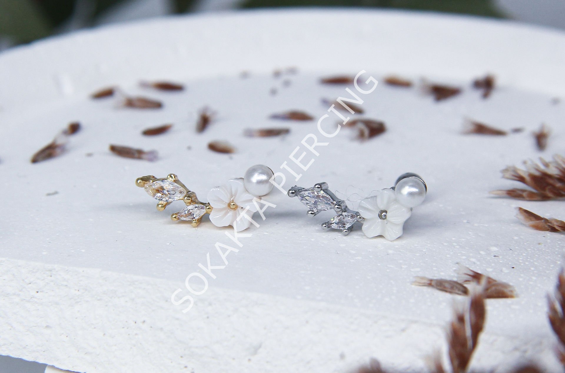 Tragus 72