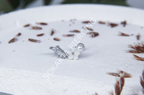 Tragus 72
