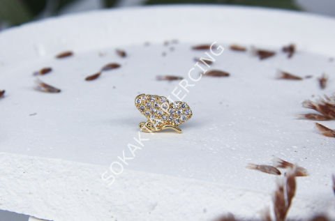 A61 - TRAGUS Silver