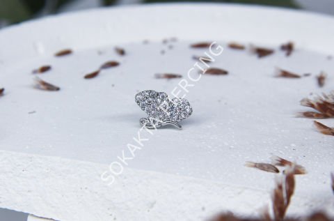 A61 - TRAGUS Silver