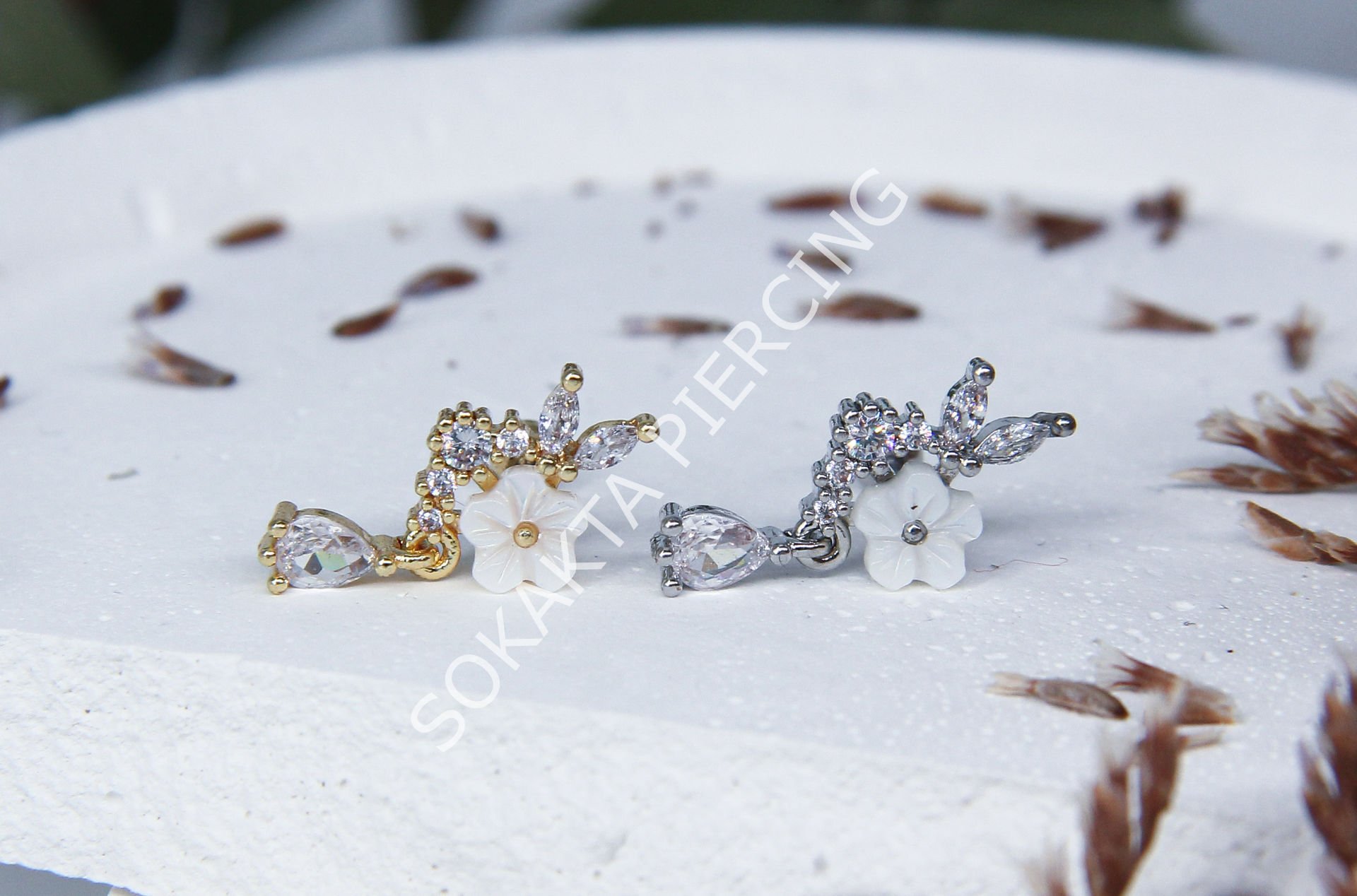 C24 - TRAGUS