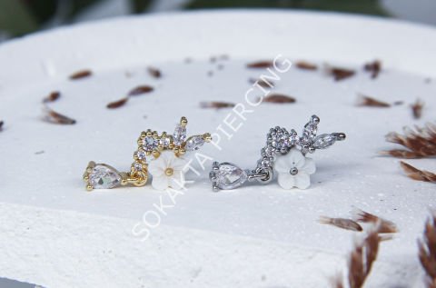 C24 - TRAGUS