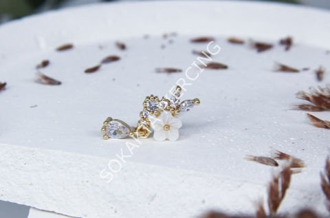 C24 - TRAGUS